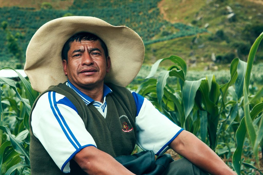 Portrait of a Peruvian farmer in a cornfield, Cajamarca, Perú.
